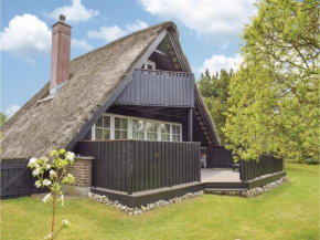 Three-Bedroom Holiday Home in Ebeltoft